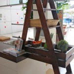 השכרת מטבחים ניידים